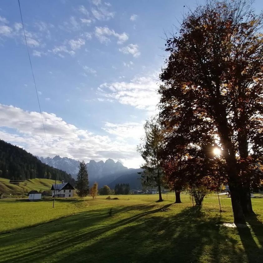Haus Gruenwald Apartment Gosau Exterior photo