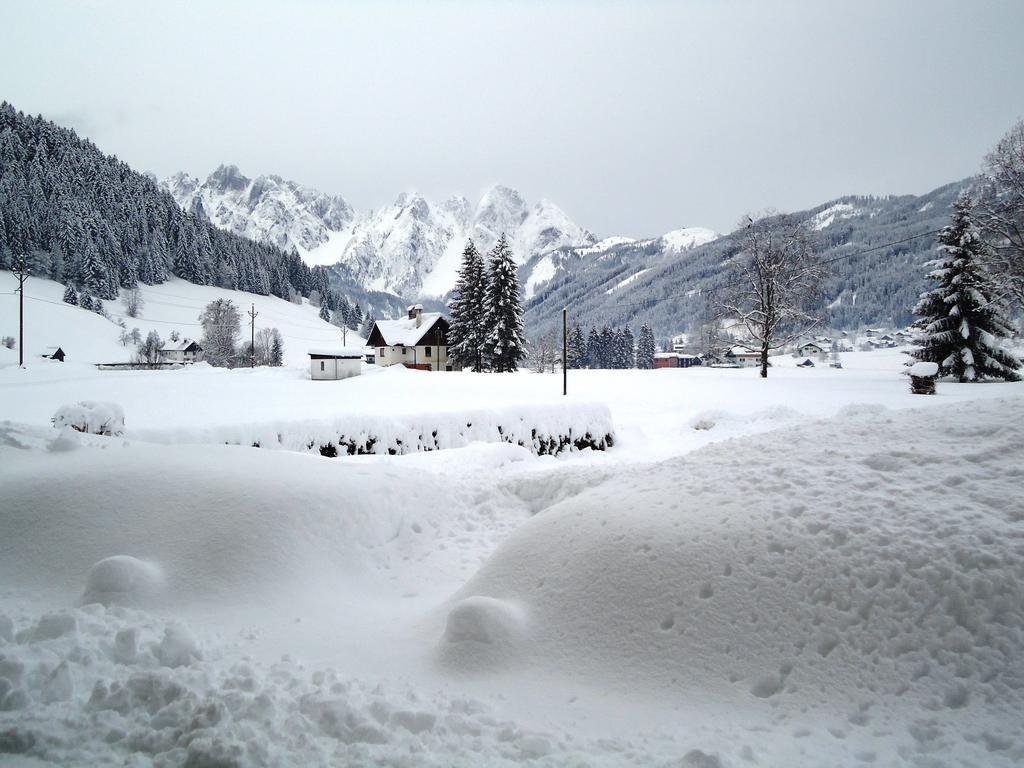 Haus Gruenwald Apartment Gosau Exterior photo